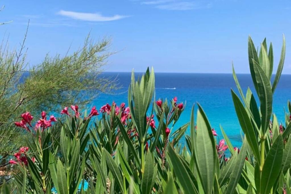 Boutique Apartment With Beach Within Walking Distance, Near Tropea Parghelia Buitenkant foto
